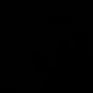 Meet your Posher, Maddie